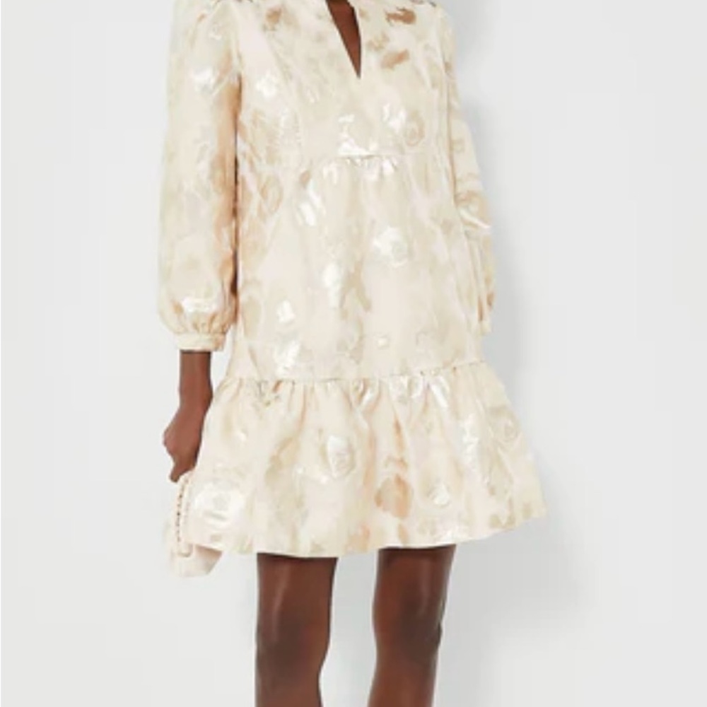 NWT Tuckernuck Champagne Fil Coupe Palmerston Dress